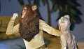 Lionking 0120